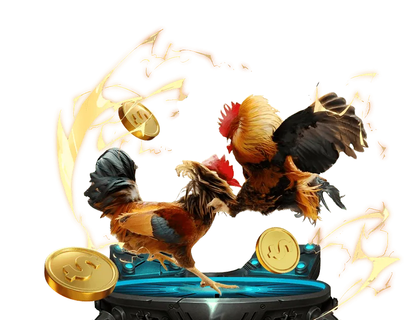 Mẹo chơi Casino Trực Tuyến tại nohu888